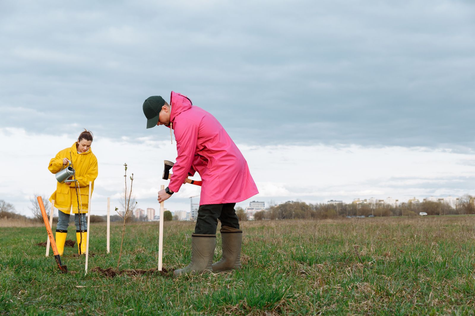 Volunteers planting young trees in a field