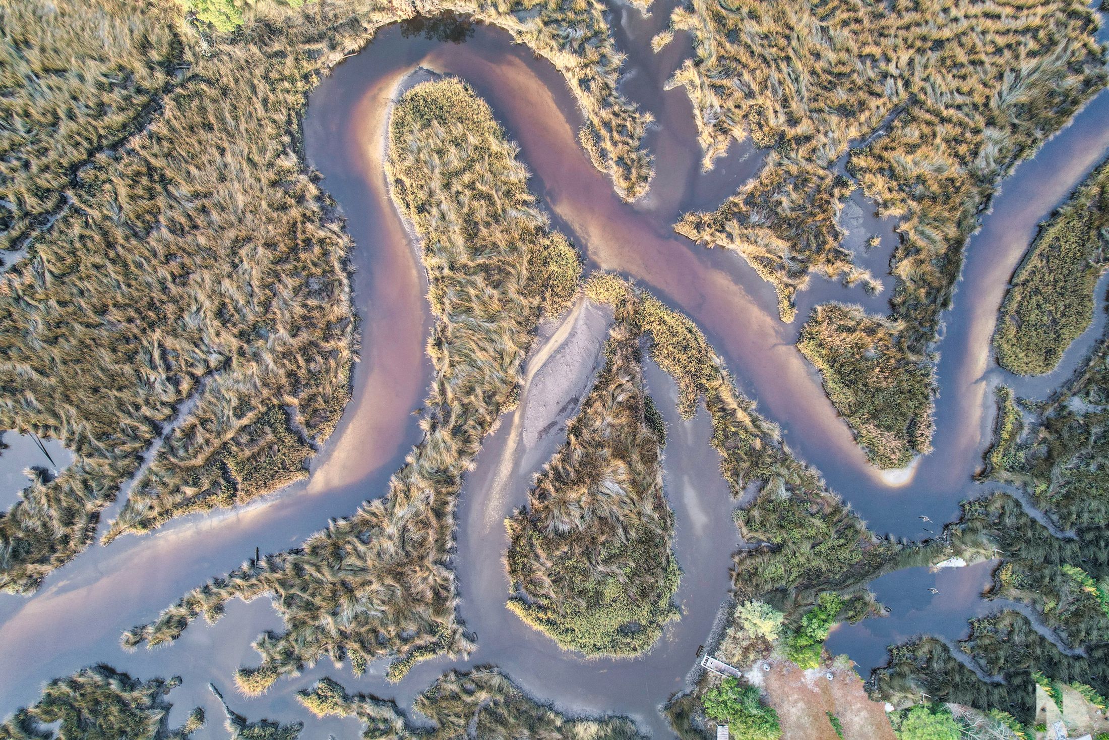 A winding river moving through a coastal wetland